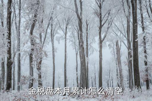 金稅盤如何清稅盤，金稅盤如何清卡解鎖