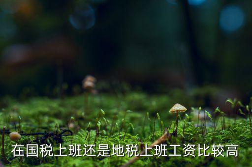 地稅局發(fā)展如何，我要考天津稅務(wù)局想問市區(qū)各地稅局和濱海地稅一分局哪個好呢