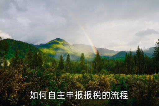 如何進(jìn)行稅務(wù)申報(bào)，個(gè)體戶(hù)如何申報(bào)稅