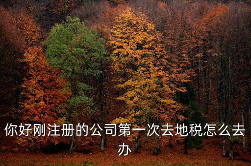新辦企業(yè)如何辦地稅，新辦企業(yè)去地稅報道需要帶什么手續(xù)
