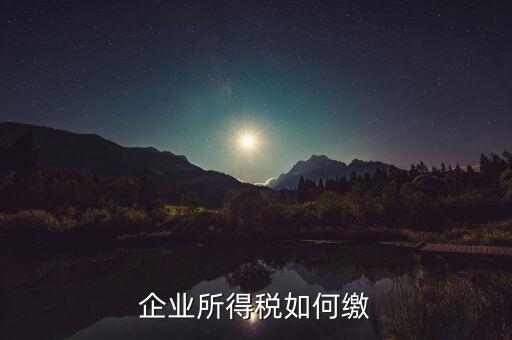 企業(yè)所得稅如何繳稅，企業(yè)所得稅如何繳納