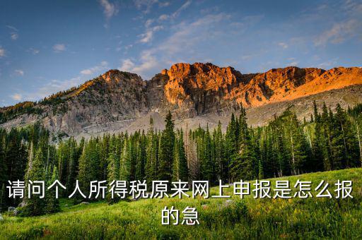 個(gè)人所得稅如何網(wǎng)上申報(bào)，個(gè)人所得稅網(wǎng)上申報(bào)流程