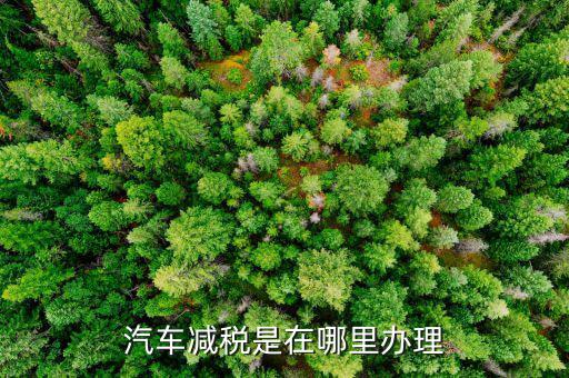 汽車(chē)減稅是在哪里辦理