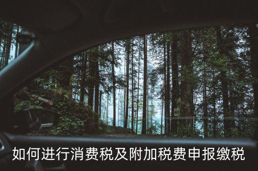 附加稅如何才能申報(bào)，如何進(jìn)行消費(fèi)稅及附加稅費(fèi)申報(bào)繳稅