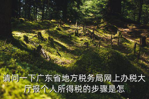 廣州地稅如何網(wǎng)上申報(bào)，想請(qǐng)教如何辦理廣州地稅網(wǎng)上申報(bào)
