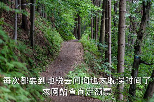 每次都要到地稅去問詢也太耽誤時(shí)間了求網(wǎng)站查詢定額票