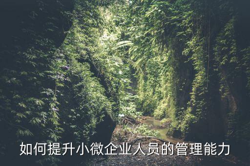 如何加強(qiáng)小型微利企業(yè)管理，如何提升小微企業(yè)人員的管理能力