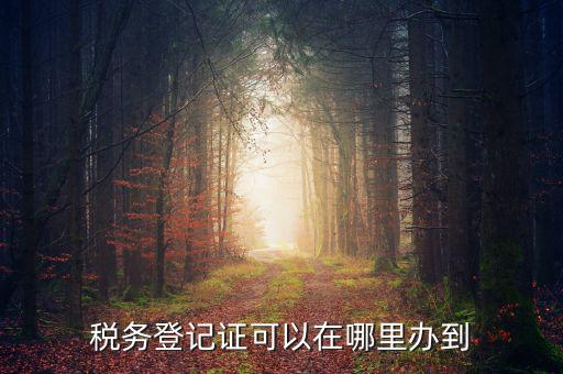 如何辦理稅種登記，辦好營業(yè)執(zhí)照后怎么辦理稅務(wù)登記證