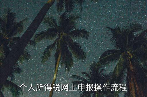 上海個(gè)人所得稅如何申報(bào)，上海企業(yè)如何交個(gè)人所得稅