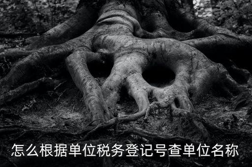 如何通過稅號查單位，知道納稅人識別號怎么查單位