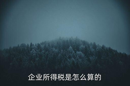 公司所得稅如何計算，企業(yè)所得稅該怎么計算