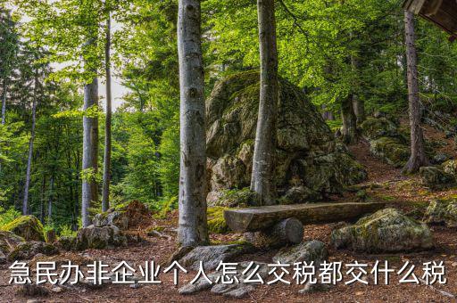 民非企業(yè)如何納稅申報(bào)，民辦非企業(yè)單位如何繳納個(gè)人所得稅