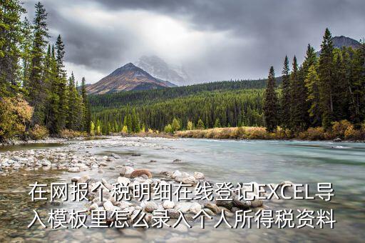 北京個(gè)稅明細(xì)申報(bào)如何導(dǎo)入，在網(wǎng)報(bào)個(gè)稅明細(xì)在線登記EXCEL導(dǎo)入模板里怎么錄入個(gè)人所得稅資料