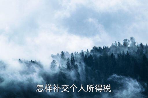 如何補交個人所得稅，如何用個人所得稅扣繳系統(tǒng)補繳稅款