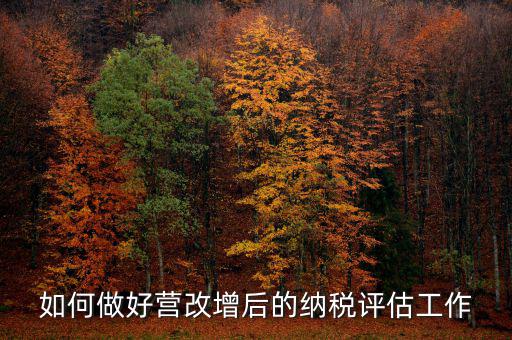 如何做好納稅評估，企業(yè)納稅評估的方式方法