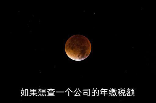 如果想查一個公司的年繳稅額