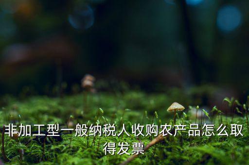 農產(chǎn)品收購發(fā)票如何，農產(chǎn)品收購發(fā)票如何開
