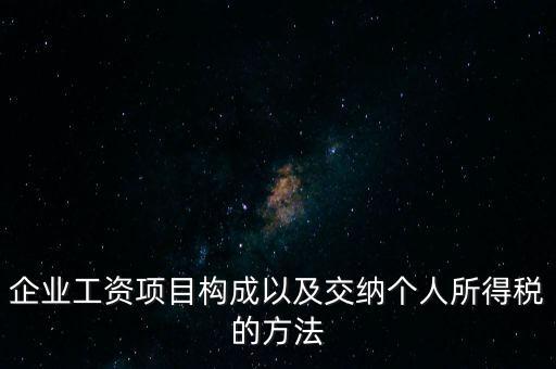 企業(yè)工資項(xiàng)目構(gòu)成以及交納個人所得稅的方法