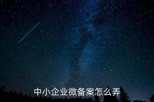 小型微型企業(yè)如何備案，小型微型企業(yè)登記備案