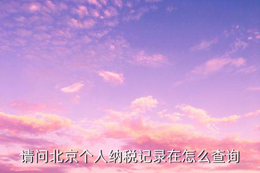 請(qǐng)問(wèn)北京個(gè)人納稅記錄在怎么查詢