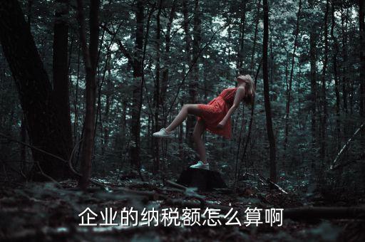 企業(yè)納稅如何計(jì)算，企業(yè)的納稅額怎么算啊