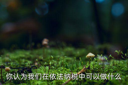 如何做到依法納稅，你認(rèn)為我們?cè)谝婪{稅中可以做什么