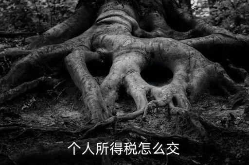 個(gè)人所得稅如何繳納，個(gè)人所得稅怎么繳納
