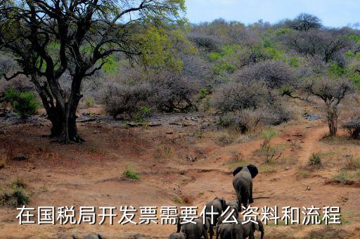 國(guó)稅局批票如何辦理，在國(guó)稅局開(kāi)發(fā)票需要什么資料和流程