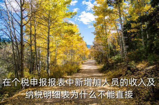個(gè)稅申報(bào)如何增加新納稅人，在個(gè)稅申報(bào)報(bào)表中新增加人員的收入及納稅明細(xì)表為什么不能直接