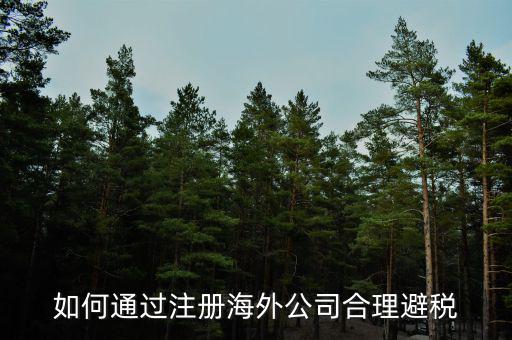 在境外注冊子公司如何避所得稅，離岸公司如何避個稅