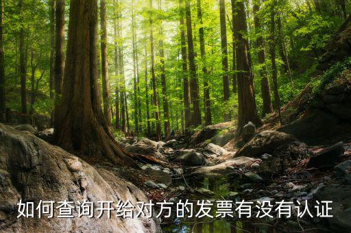 如何查詢(xún)發(fā)票認(rèn)證信息查詢(xún)，如何查詢(xún)開(kāi)給對(duì)方的發(fā)票有沒(méi)有認(rèn)證