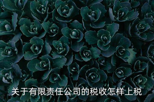 有限責(zé)任公司如何繳稅，有限責(zé)任公司是如何納稅的要繳納的稅種都有哪些