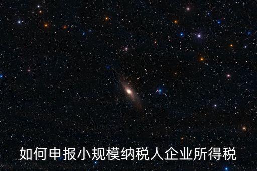 小規(guī)模納稅人如何報(bào)企業(yè)所得稅，如何申報(bào)小規(guī)模納稅人企業(yè)所得稅