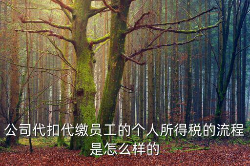 如何代扣代繳個人所得稅，代扣代繳個人所得稅