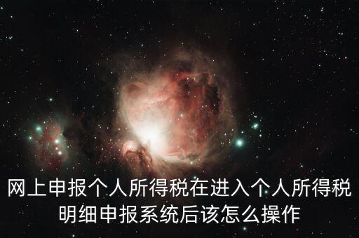 網(wǎng)上申報個人所得稅在進入個人所得稅明細(xì)申報系統(tǒng)后該怎么操作