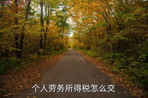 個人勞務(wù)費如何繳稅，勞務(wù)報酬所得怎么繳納個人所得稅