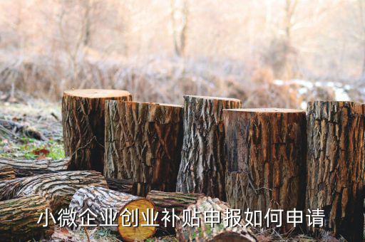 小型微利企業(yè)如何申請社保補(bǔ)貼，小微企業(yè)補(bǔ)貼怎么申請
