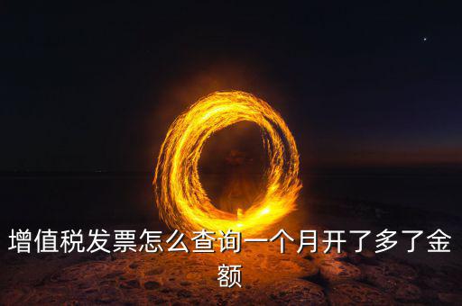 增值稅發(fā)票怎么查詢一個(gè)月開(kāi)了多了金額