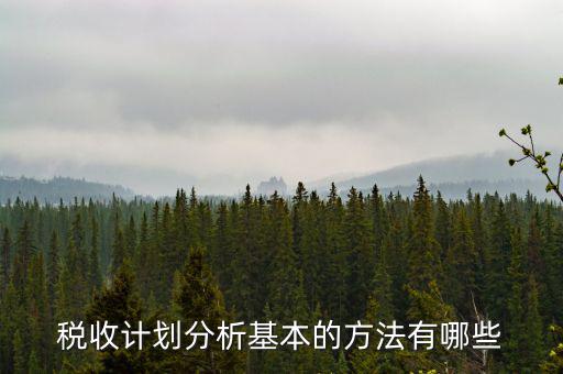 如何打造稅收分析拳頭產品，如何做好稅收預測工作