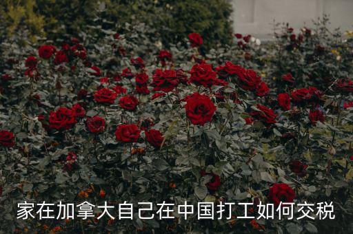 加拿大如何征稅，注冊(cè)加拿大公司怎么報(bào)稅