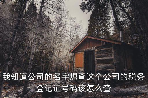 如何查詢稅務(wù)登記證號(hào)碼，稅務(wù)登記號(hào)查詢