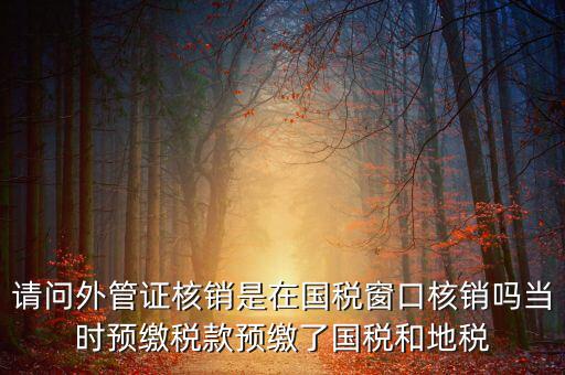 外管證如何核銷，發(fā)票已開外管證丟了怎么核銷