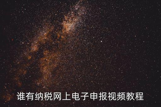 如何網(wǎng)上報稅視頻，誰有納稅網(wǎng)上電子申報視頻教程