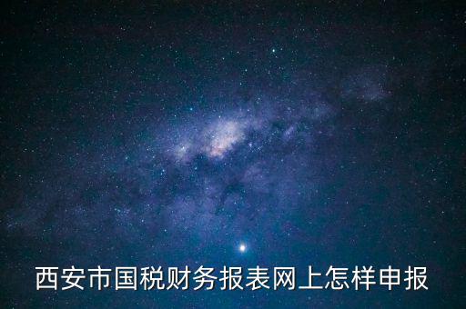 西安市國稅財務報表網上怎樣申報
