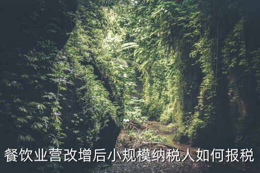營改增后小規(guī)模納稅人如何報(bào)稅，營改增后小規(guī)模的怎么報(bào)稅