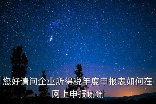 公司如何網(wǎng)絡(luò)申報(bào)表，新手請(qǐng)教企業(yè)所得稅年度納稅申報(bào)表在網(wǎng)上如何申報(bào)