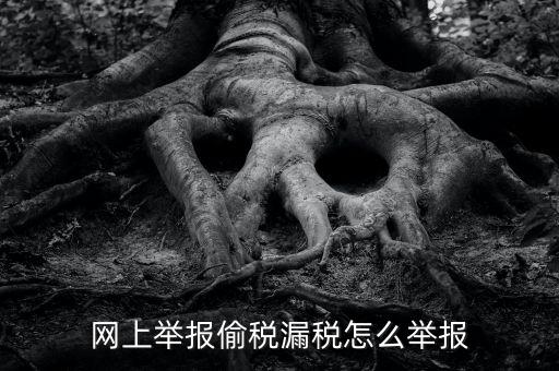 如何網(wǎng)上稅務(wù)舉報(bào)，網(wǎng)上舉報(bào)偷稅漏稅怎么舉報(bào)