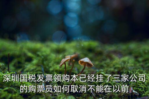 如何取消稅務局購票人，國稅如何刪除購票人