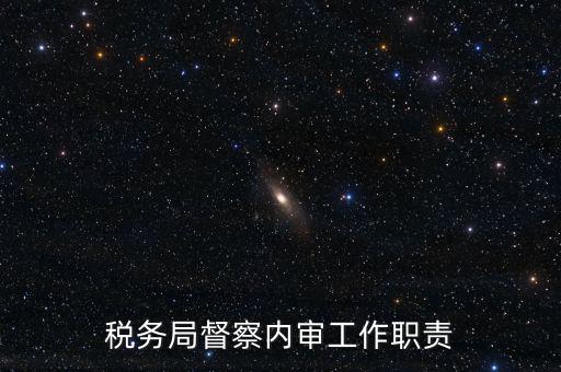 稅務局督察內(nèi)審工作職責