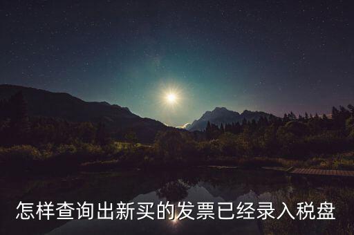 怎樣查詢出新買(mǎi)的發(fā)票已經(jīng)錄入稅盤(pán)